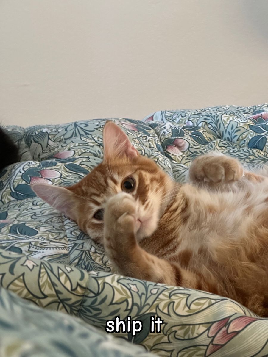 An orange cat on its back raising a paw, captioned 'ship it'
