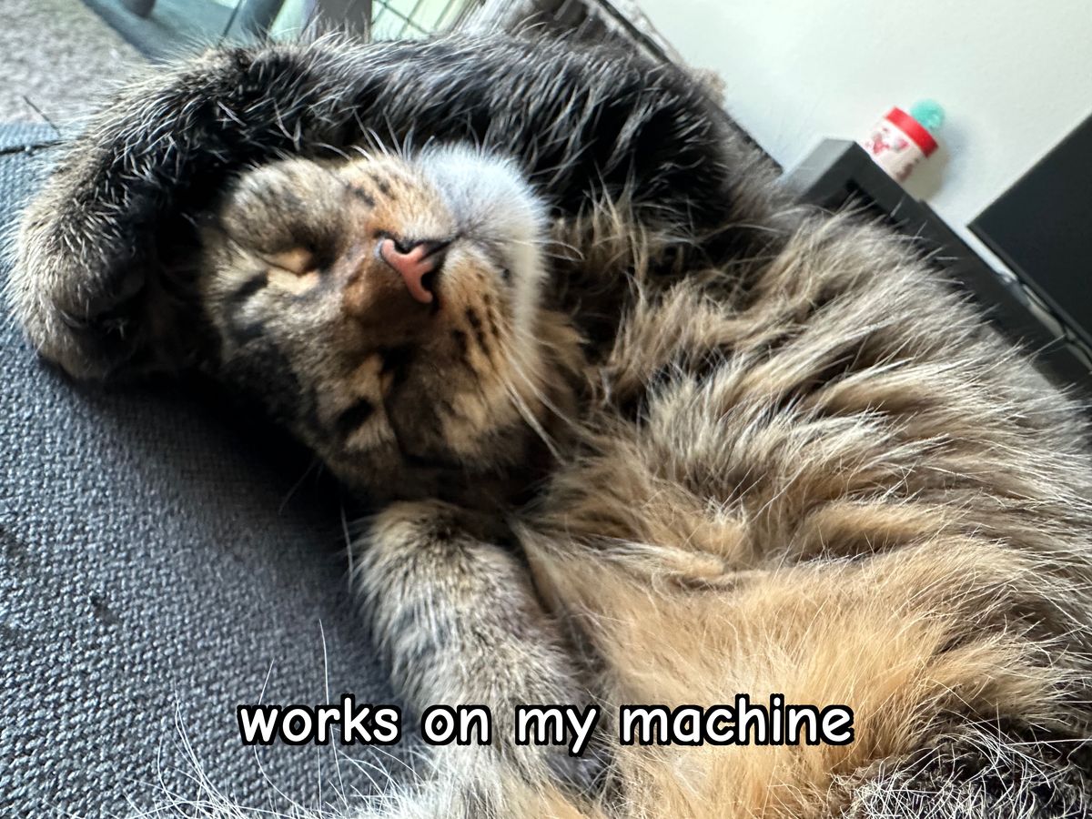 A cat asleep on the floor next to a desk, captioned 'works on my machine'